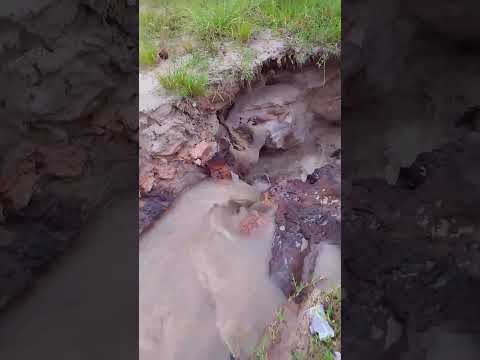 São Paulo de Olivença (Am)