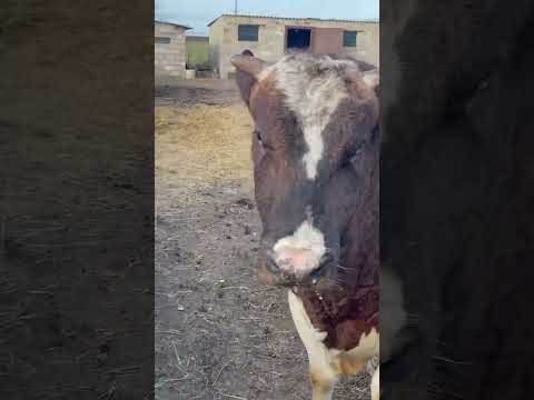 20 февраля 2026 г.