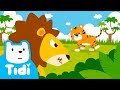 The King Of Animals Lion Vs Tiger Sing Along With Tidi Songs For Children TidiKids