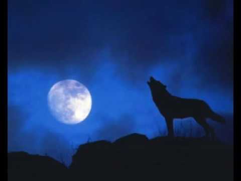 RADIOTEATRO-NAZARENO CRUZ Y EL LOBO,LT15 RADIO DEL LITORAL