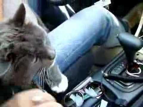 phatea on his way to Alberts