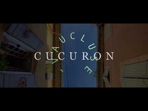 Video vignette