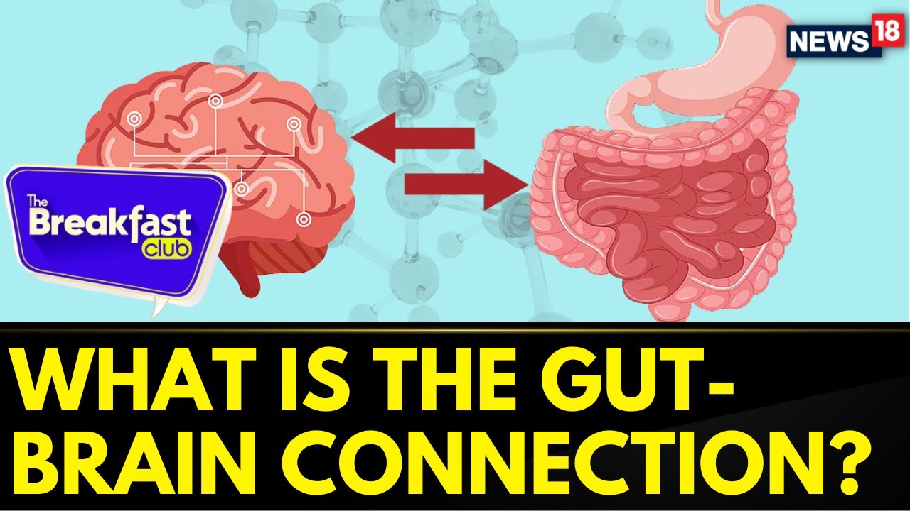 World Nutrition Week: What Is The Gut-Brain Connection? | Healthy Bites | The Breakfast Club