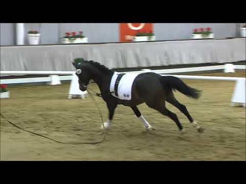 69 Der Fürst v. Dankeschön / Fürst Piccolo