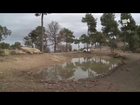 Naszym zdaniem! - Co dalej z Robertem Kubicą...