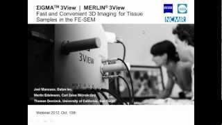 ZEISS Webinar: Fast and Convenient 3D Imaging for Tissue Samples in the FE-SEM