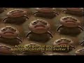 Trailer Vida De Inseto 1999 Inglês