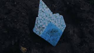 Clip Flavor Girls in Hawaii