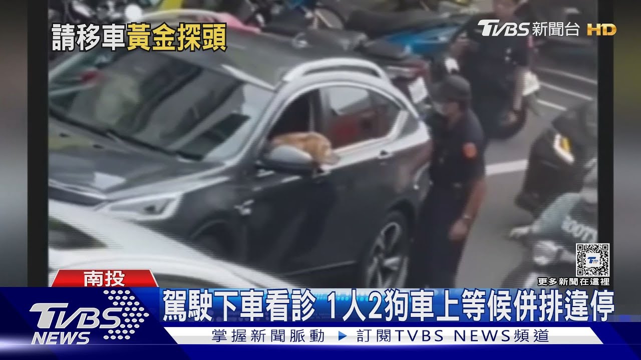 誰開車?取締併排違停 駕駛座只見「黃金獵犬」