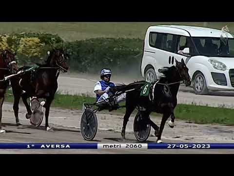 Aversa trotto 27 Maggio 2023 - 1° Corsa