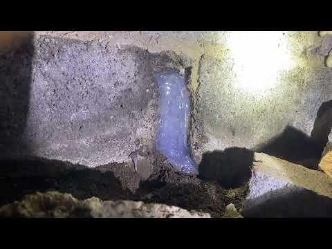 Sealing Up the Entry Points for Mice in the Crawl Space in Old Bridge, NJ