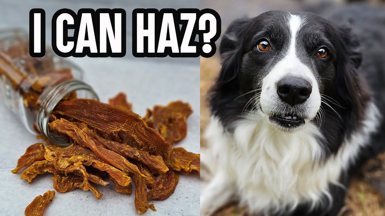 Stop Buying Unhealthy Dog Treats! Make These Easy Chicken Dog Treats Your Pup will Love! ♥