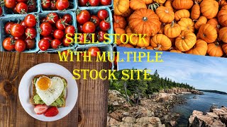 Sell Stock Photo Online with multiple agency and make extra money