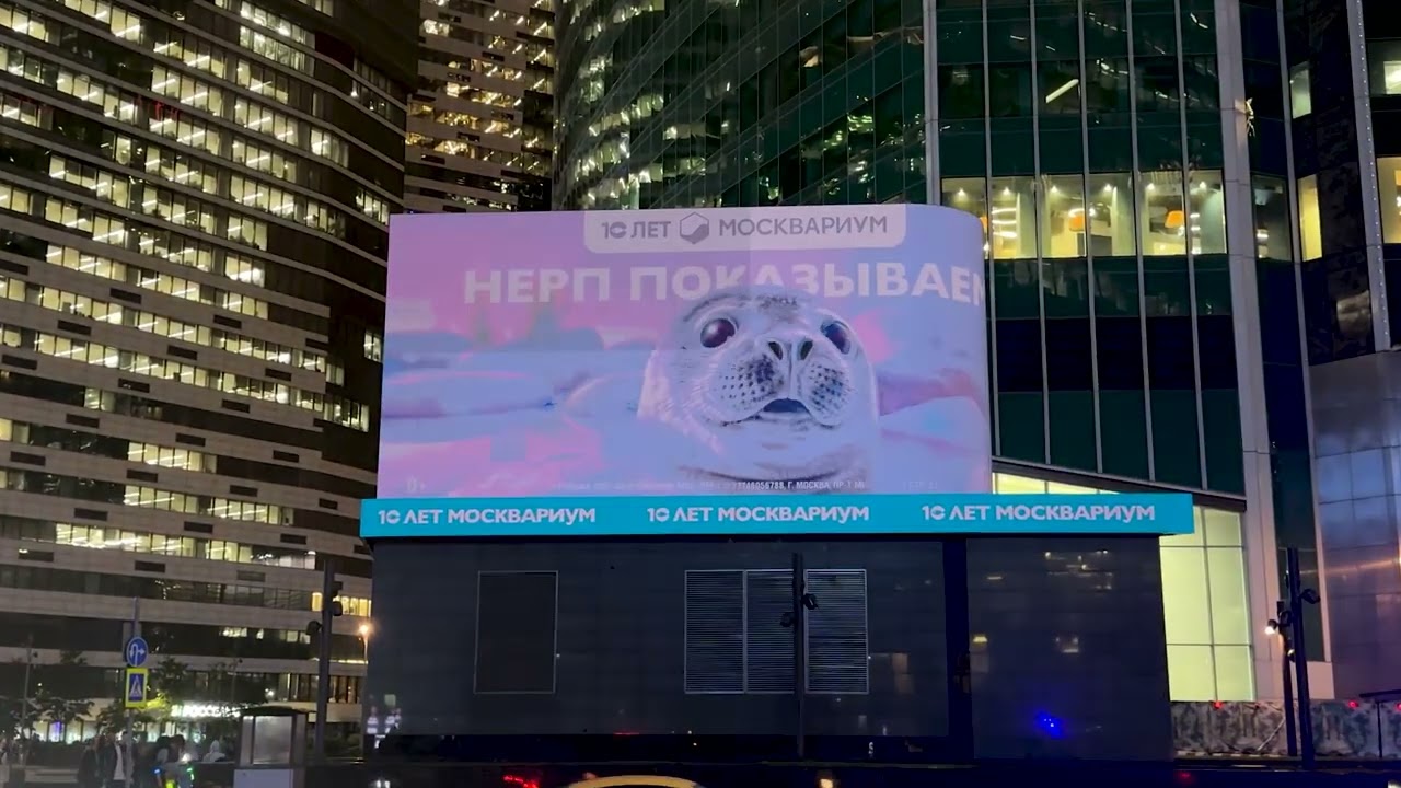 Рыбов показываем — видео кампании