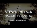 Steven Wilson - Remainder the Black Dog (from ...