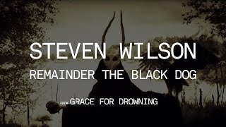 Steven Wilson - Remainder the Black Dog (from Grace for Drowning)