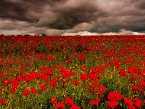 Xanakee "Yog Siab Xav Ib Yam"