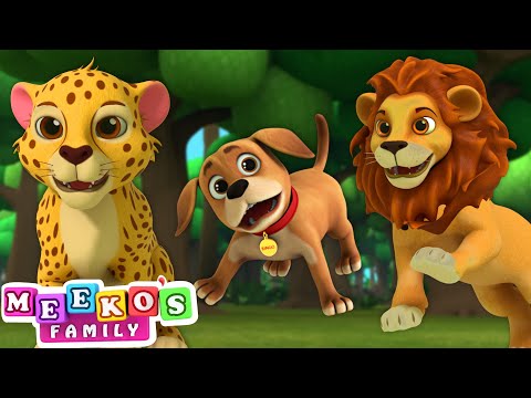Animal Songs for Babies | Move It Like The Animals Song | Meeko's Family