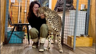 Самые счастливые человек и кошка 1 января😁