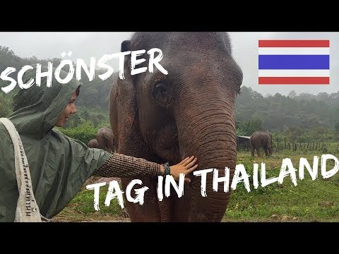 DAS MUSST DU IN THAILAND ERLEBT HABEN! | Chiang Mai, Thailand 🇹🇭 | WELTREISE VLOG 006