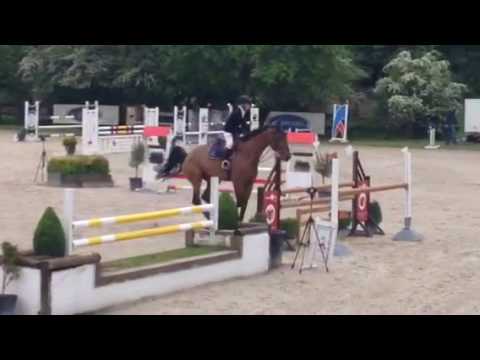 8yo Diamant de Semilly