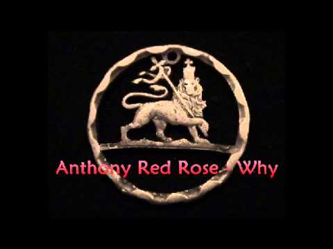 Anthony Red Rose - Why