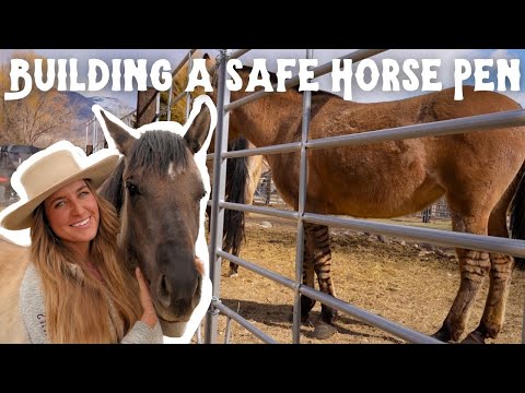 The Ultimate Horse Pen Setup for Small Properties