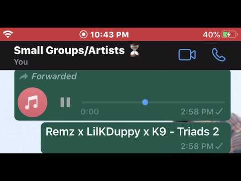 Remz x LilKDuppy x K9 - Triads 2 (Preview) Trades #Exclusives