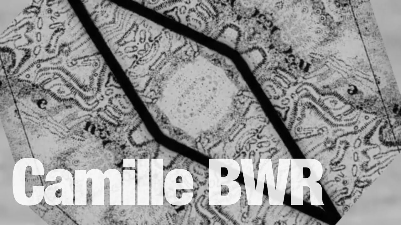 Camille Bwr - CAMiLLE BWR with TONY STINKMETAL VISUALS @TheLotRadio  09-20-2024