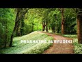 Pranamam Pranamam WhatsApp Status Nature Status JrNTR JanathaGarage Pranamam