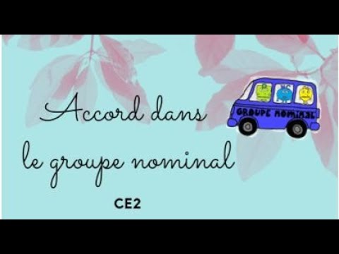 CE2 : Accord dans le groupe nominal