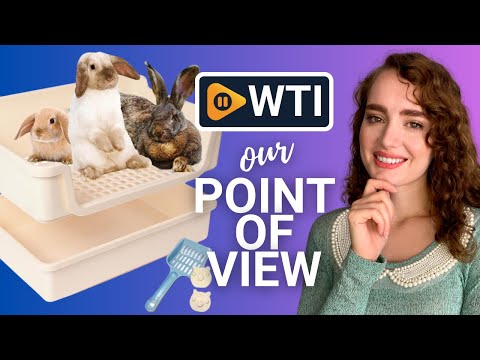 Bumbox XL Rabbit Litter Box - WTI product video review