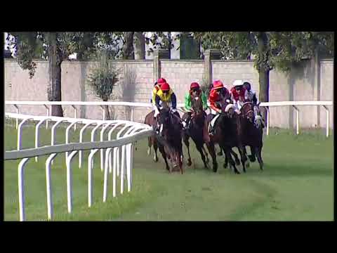 2025.10.12 Premio Elena e Sergio Cumani (ITA) - Love Words