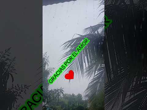 tarde de mucha lluvia en puerto barrios izabal , #puertobarrios #turismo #viralvideo