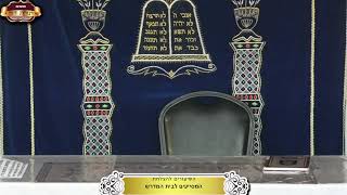 בית המדרש "תורת דוד" ¤ שידור חי ¤ י"ז אלול תשפ"ה (10.9.2025) (מוסדות תורת דוד) - התמונה מוצגת ישירות מתוך אתר האינטרנט יוטיוב. זכויות היוצרים בתמונה שייכות ליוצרה. קישור קרדיט למקור התוכן נמצא בתוך דף הסרטון