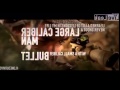 Lone Survivor Frogman Ballad NAVY SEAL