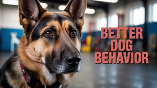 How to Calm Your Stubborn Breed Even If It's Out of Control