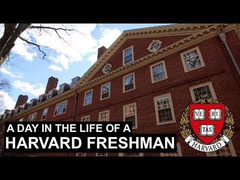 ハーバードの新入生の一日 (A Day in the Life of a Harvard Freshman)