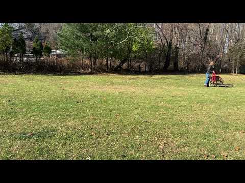 NJ Canine Coach video.