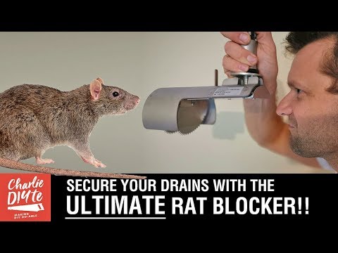 How to Install the ULTIMATE Drain Rat Blocker