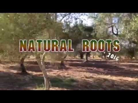 NATURAL ROOTS FESTIVAL 2016 - 29-31/07/16
