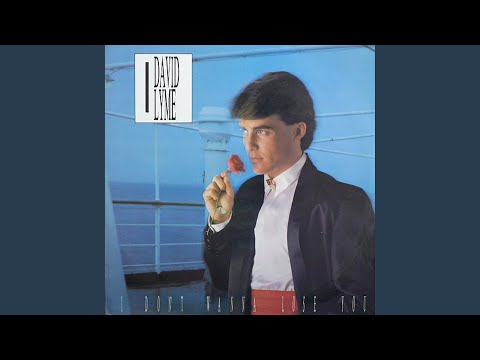 I Don't Wanna Lose You