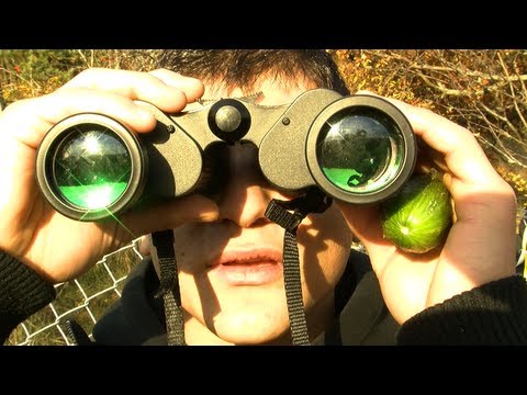 Råggywood - Kikaren