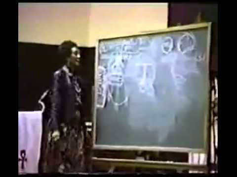 Dr Frances Cress Welsing-Black Mental Health
