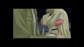 Rosa de los vientos - Los burros