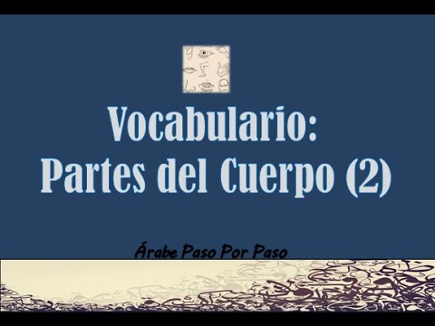 Vocabulary: Body Parts (2)