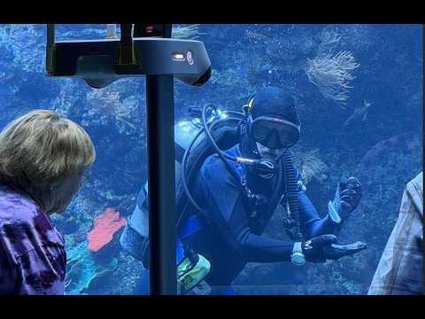 Hello Robot Stretch 4 - Georgena visits the California Academy of Science - May 2026