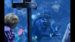 Hello Robot Stretch 4 - Georgena visits the California Academy of Science - May 2026
