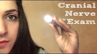 ◈ Cranial Nerve Exam ASMR ◈