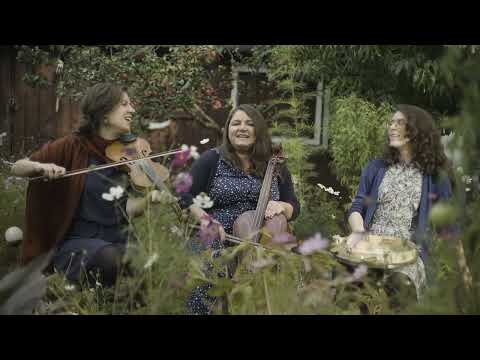 Play Video Youtube Video